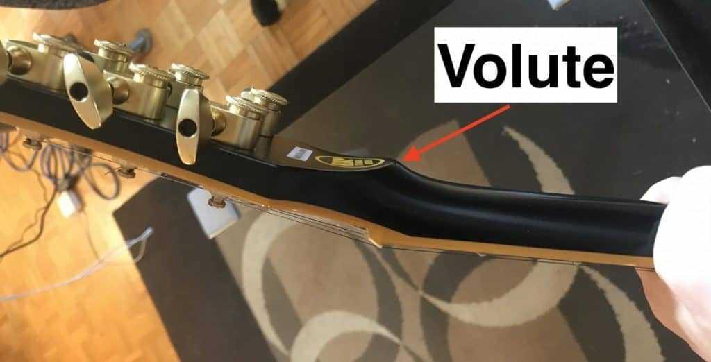 Volute