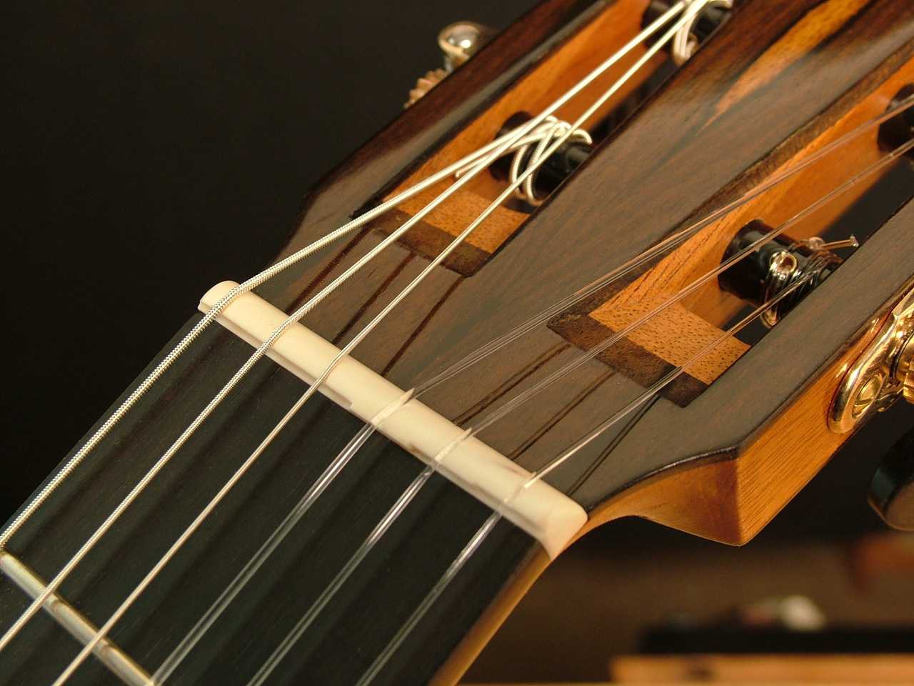 Guitar nut