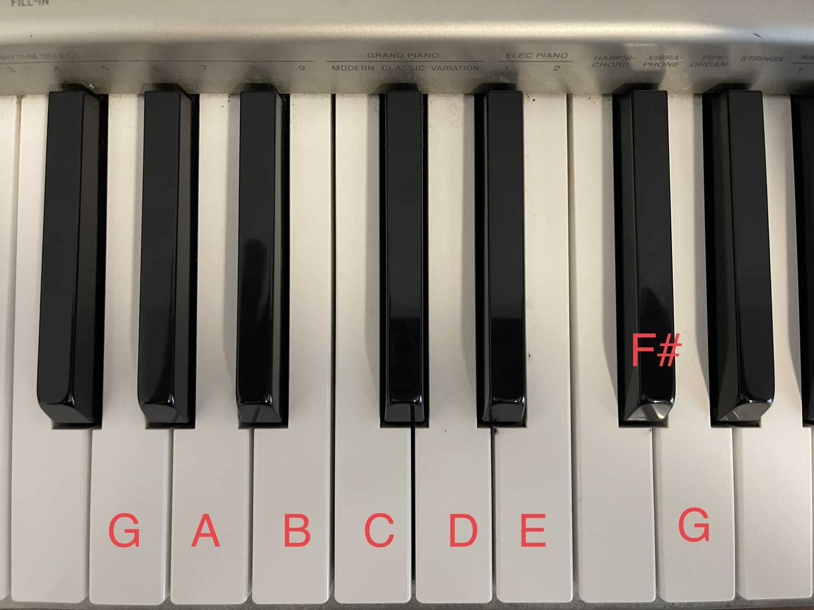 Overhead view of the G major scale notes on the piano