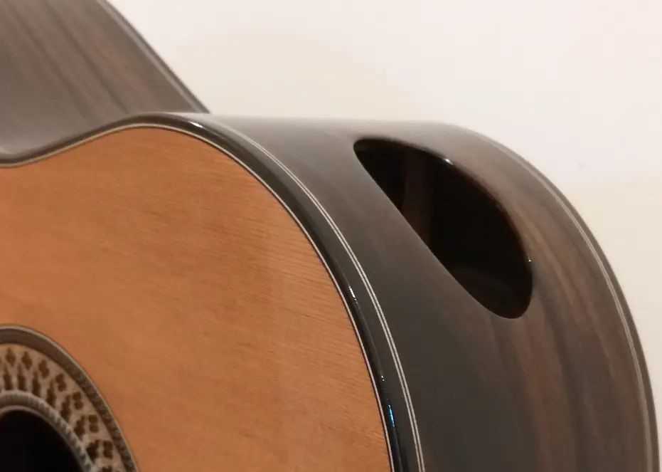 Classical guitar monitor