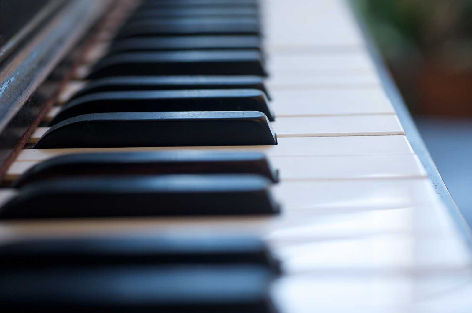 What piano keyboard should I buy?