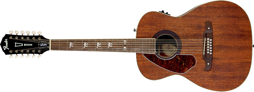 12 String acoustic guitar