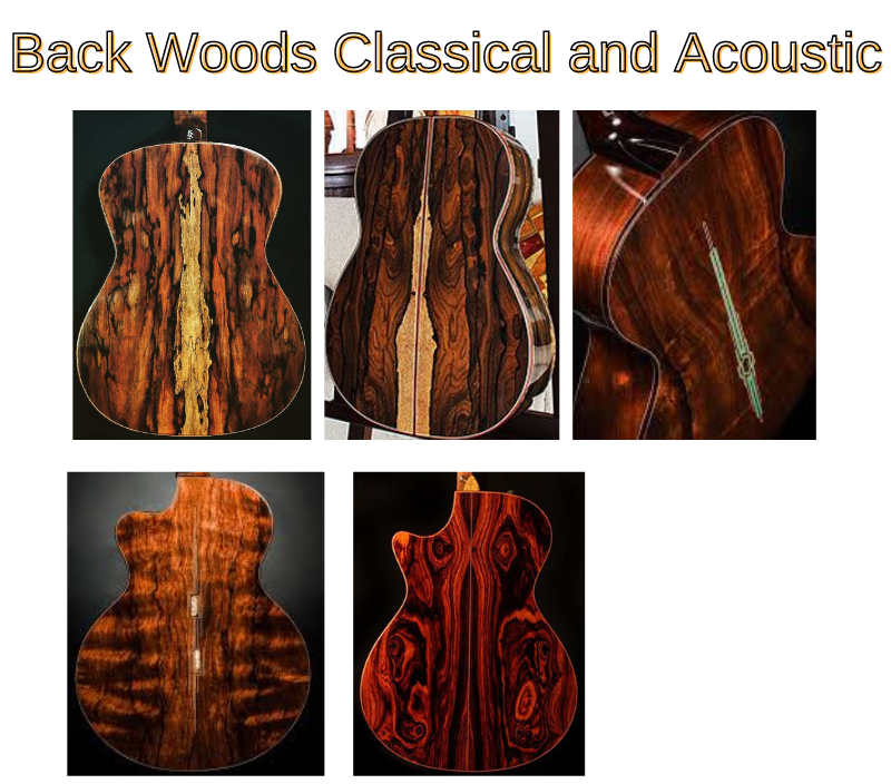 Guitar back woods