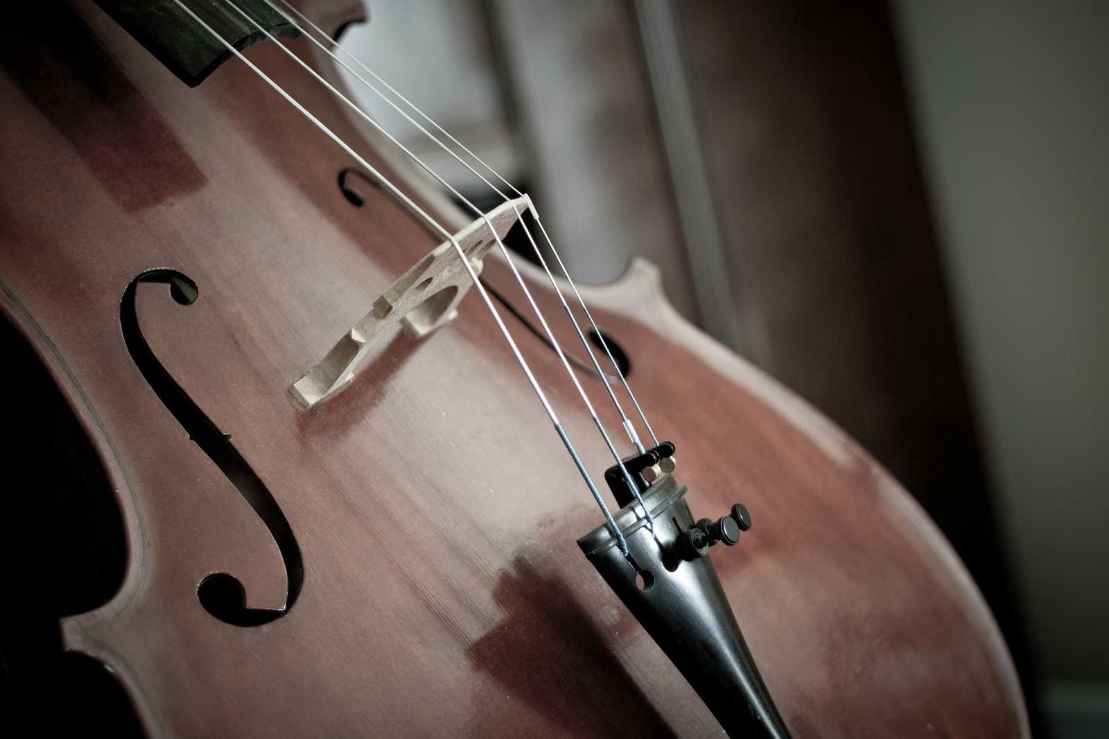 Close up of a cello
