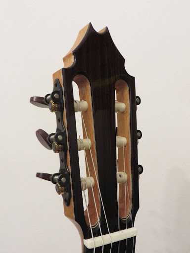 Fernando Mazza Guitar Head