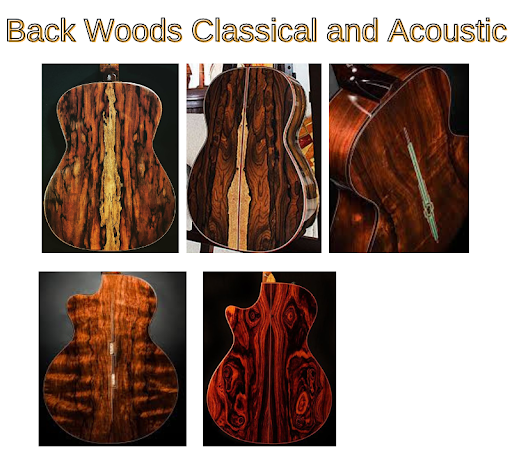 Guitar Backs