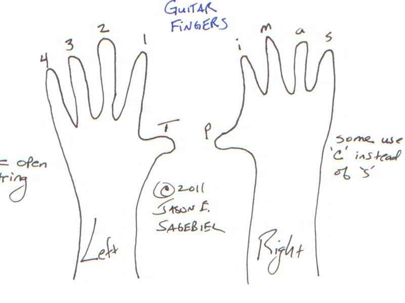 Left Hand Names Finger Names On Hand