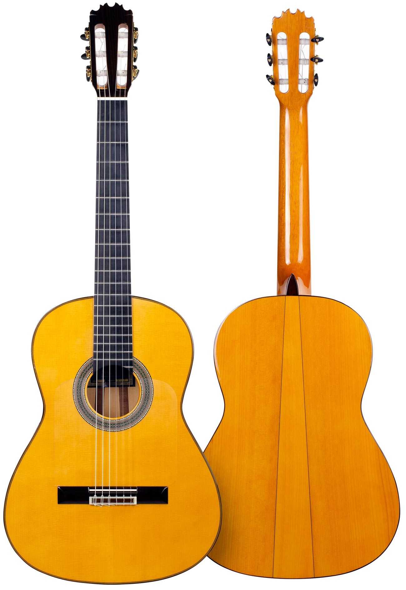Flamenco guitar
