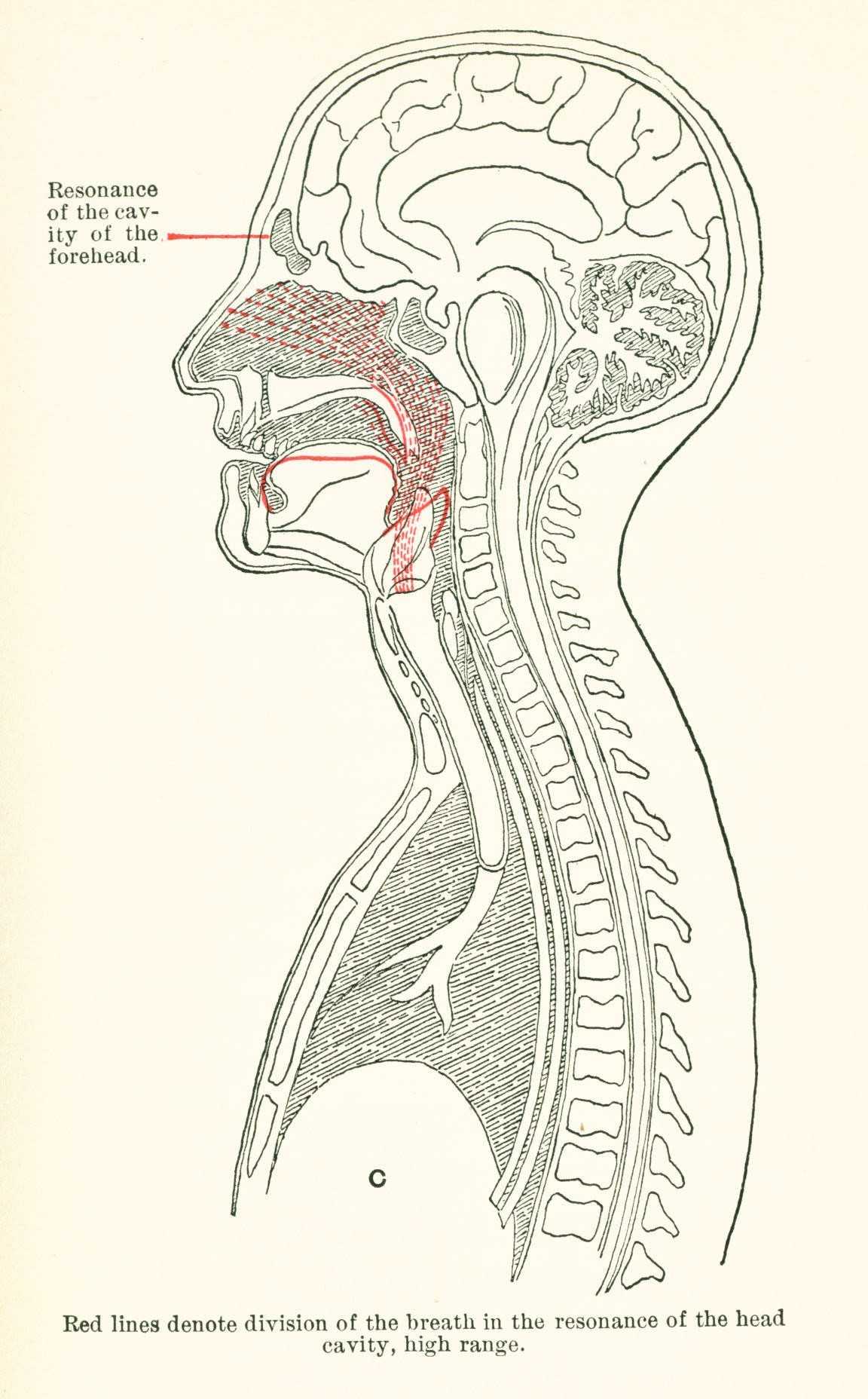 What is Falsetto Singing in the Male Voice?