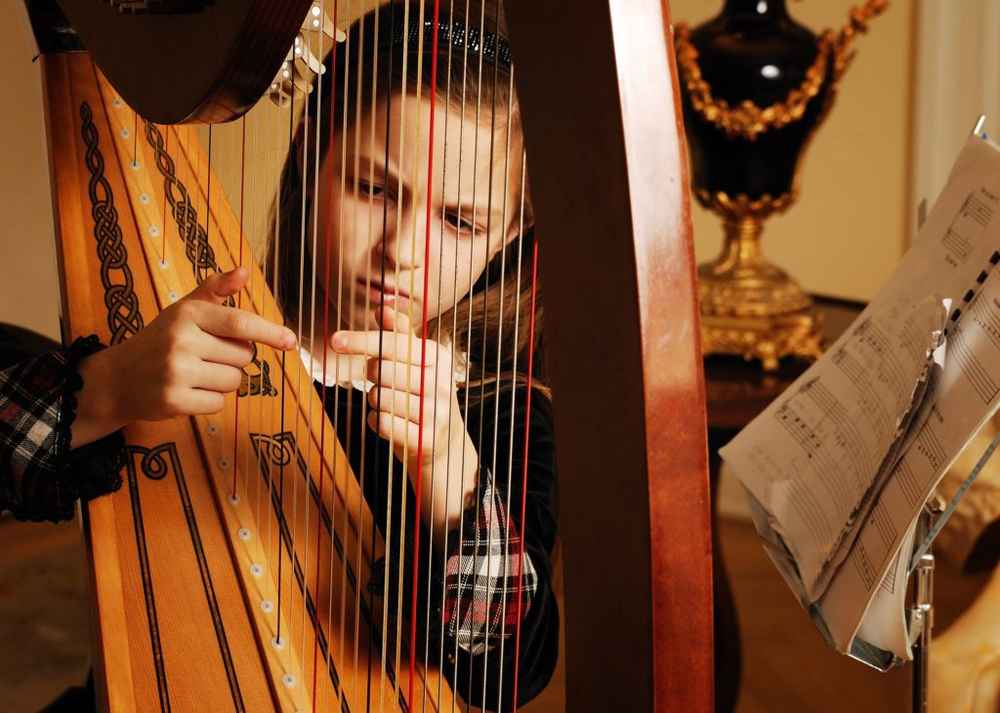 Close Up of Harp Sage Music