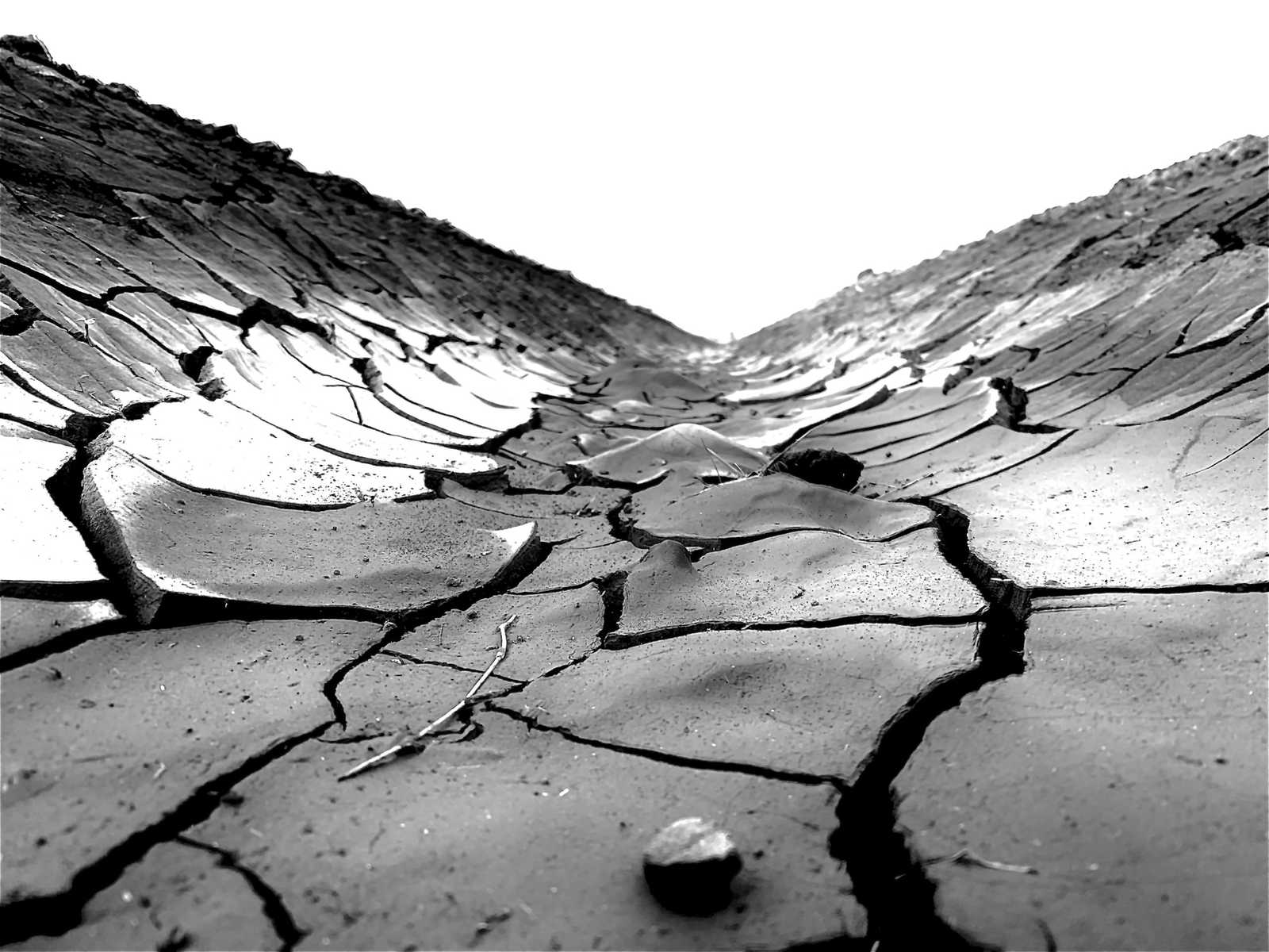 Dry Desert Job