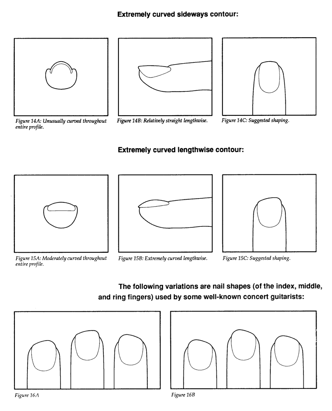 Top view of nail shape from Aaron Shearer