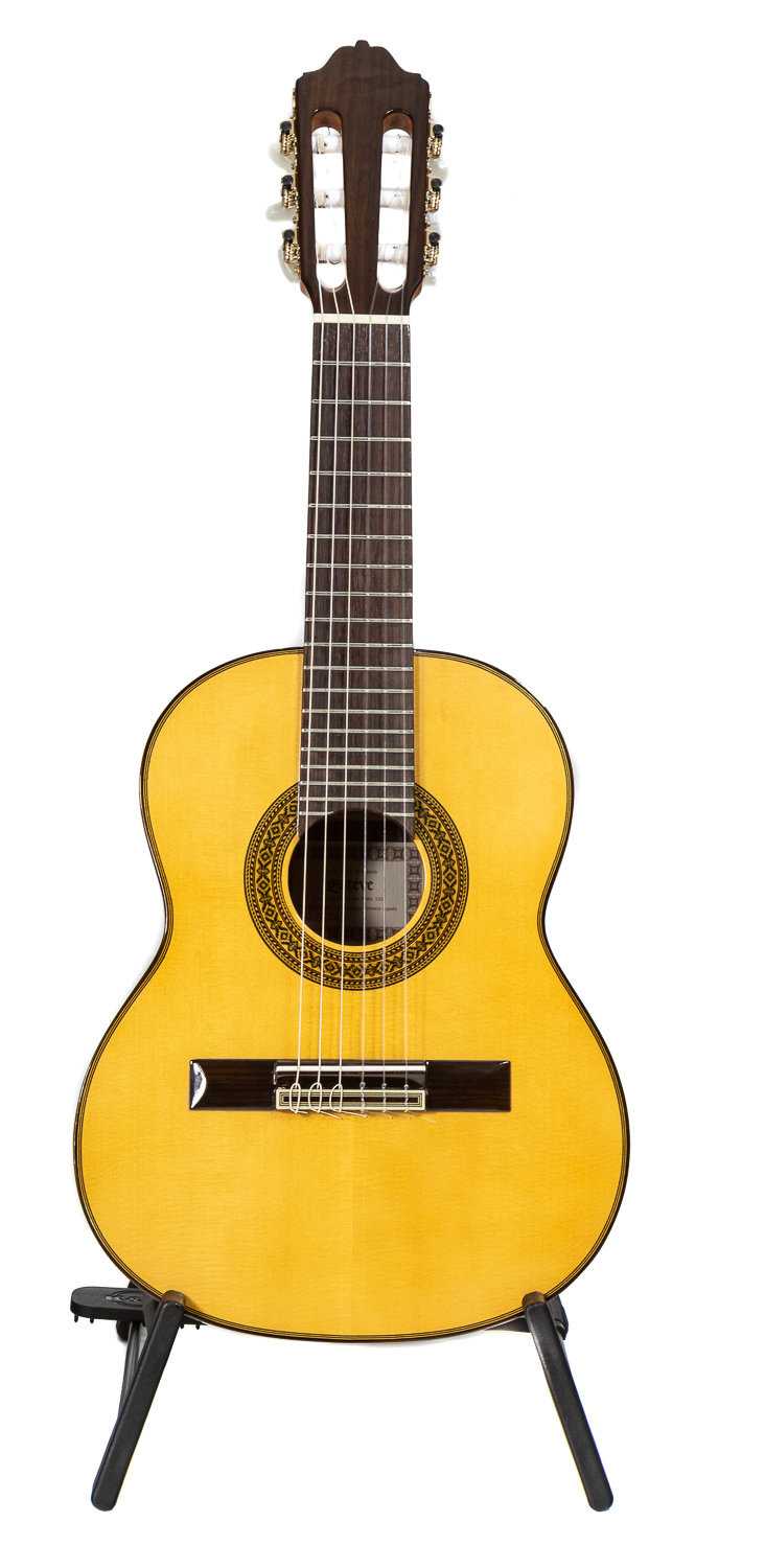 soprano guitar